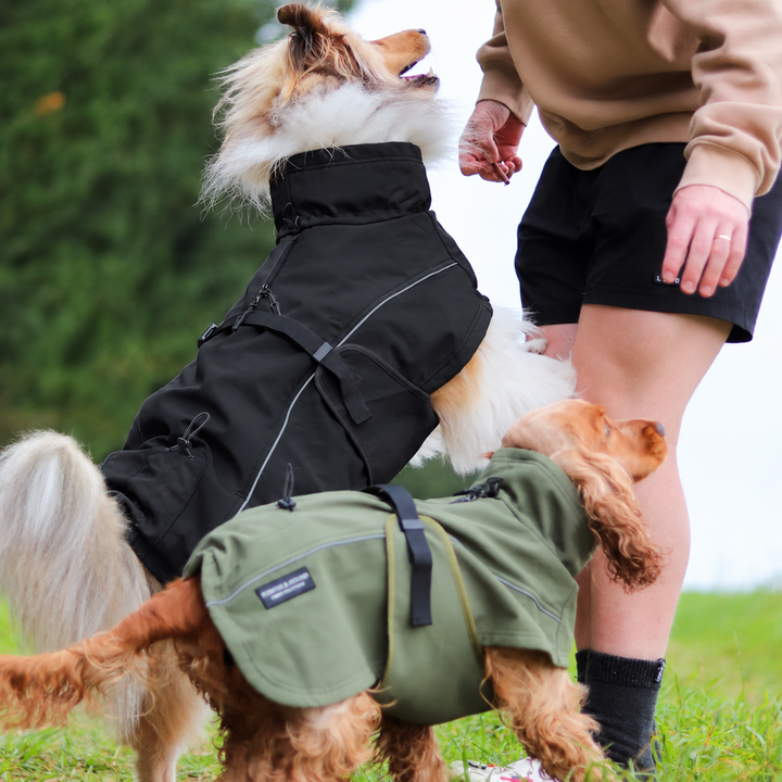 DogVex Cappotto Termico™